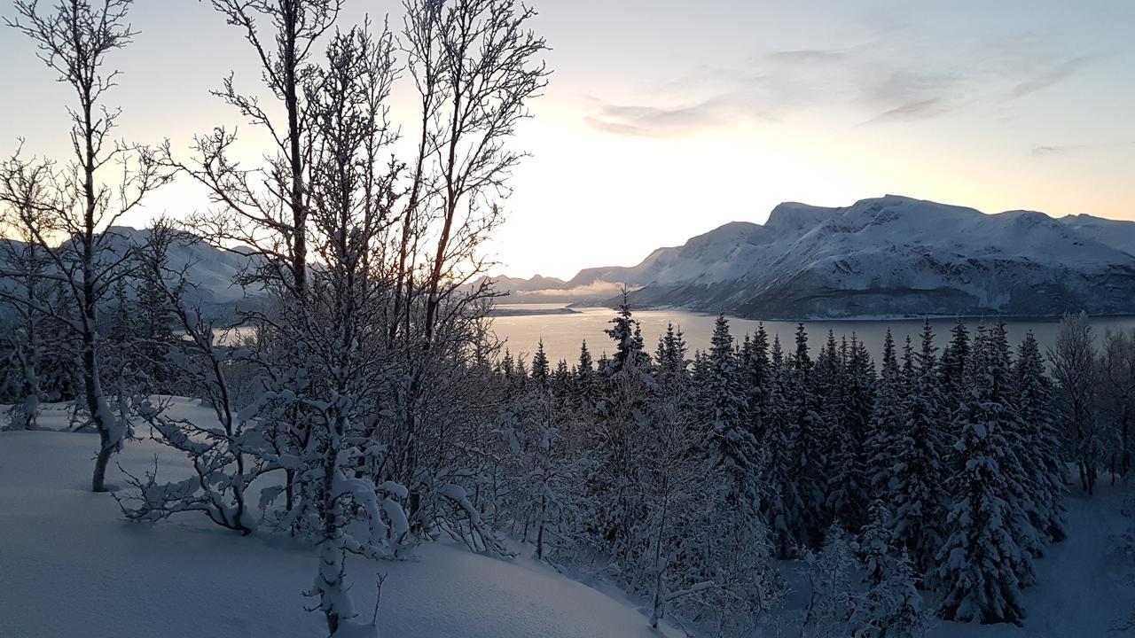 Slettvold Lyngen Villa Svensby Luaran gambar